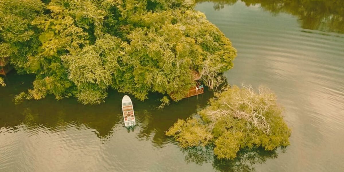 Les cascades de Tsam Tsam une merveille de la nature au cœur du Gabon