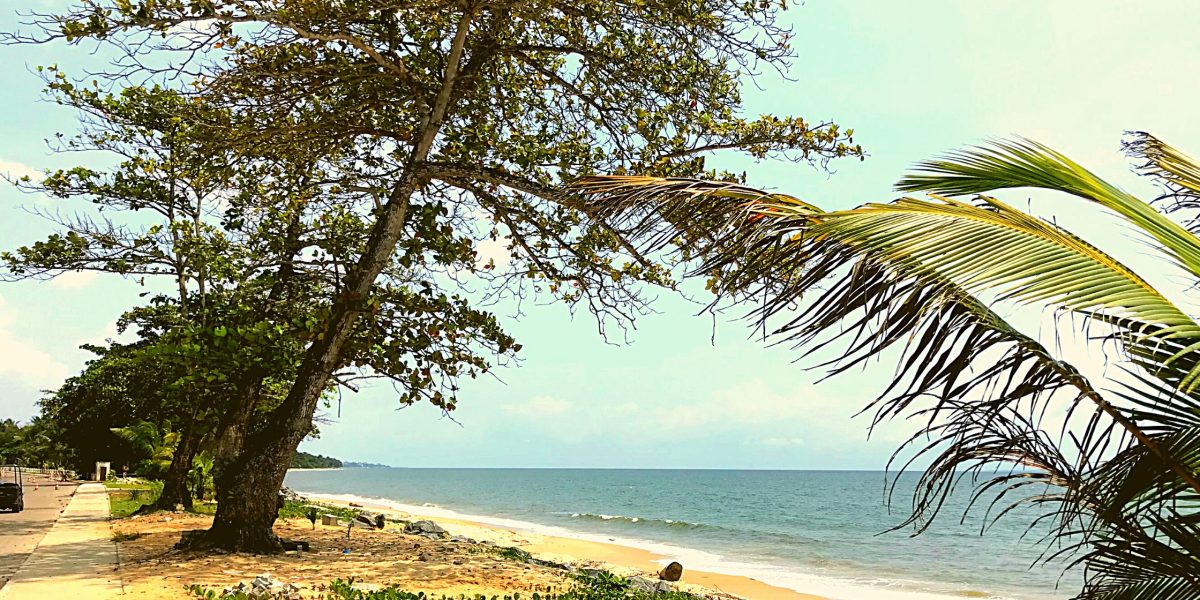 Voyage au Gabon : mon carnet d’aventure en terre authentique